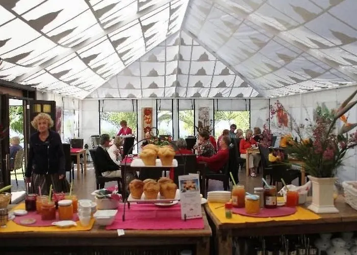 Moderne Colibri Mit Terrasse By Interhome Guía de Isora